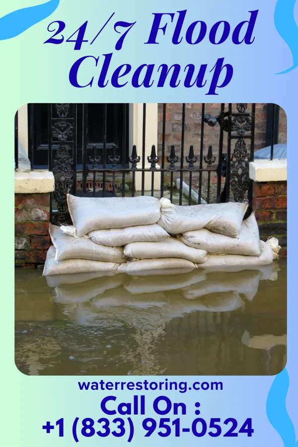 24/7 Flood Cleanup in Bolton, MS