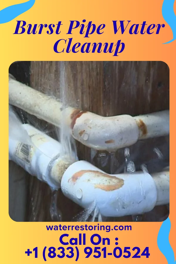 Burst Pipe Water Cleanup in Bolton, MS