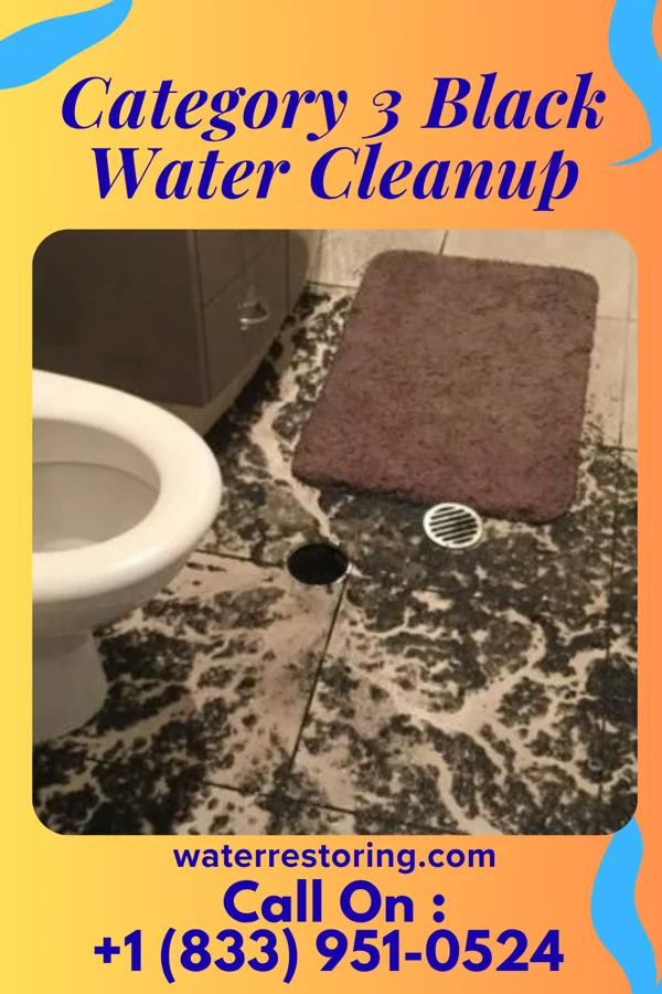 Category 3 Black Water Cleanup in Bolton, MS