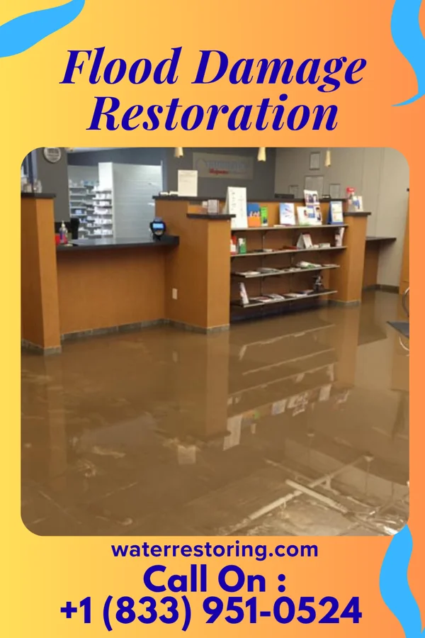 Flood Damage Restoration in Bolton, MS