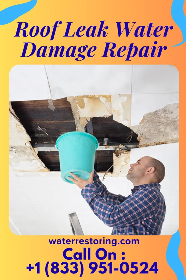 Roof Leak Water Damage Repair in Bolton, MS