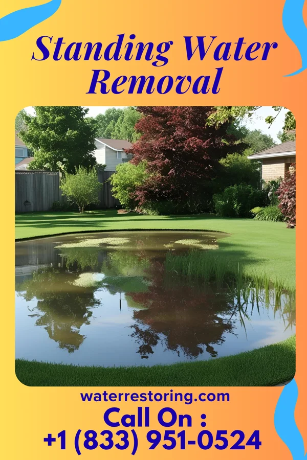 Standing Water Removal in Bolton, MS